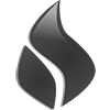 flame icon